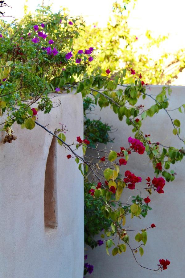 Riad Agnes Et Zohra Marakeş Dış mekan fotoğraf
